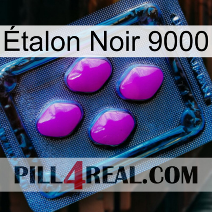 Étalon Noir 9000 04